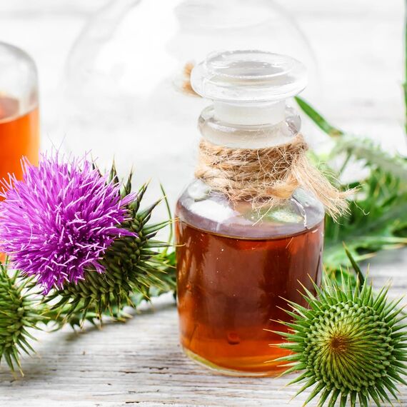 100g Mariendistelkraut geschnitten Mariendistel-Tee Kräuter-Tee vom-Achterhof