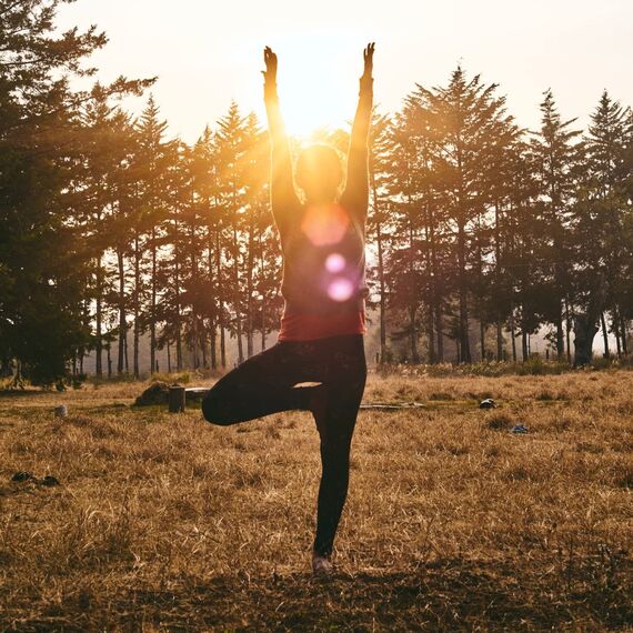 Eichenrinde 100g | Eichenrinde getrocknet und geschnitten | ideal für Sitz- oder Fußbäder, Wickel/Umschläge oder auch als Tee| naturrein | vom Achterhof