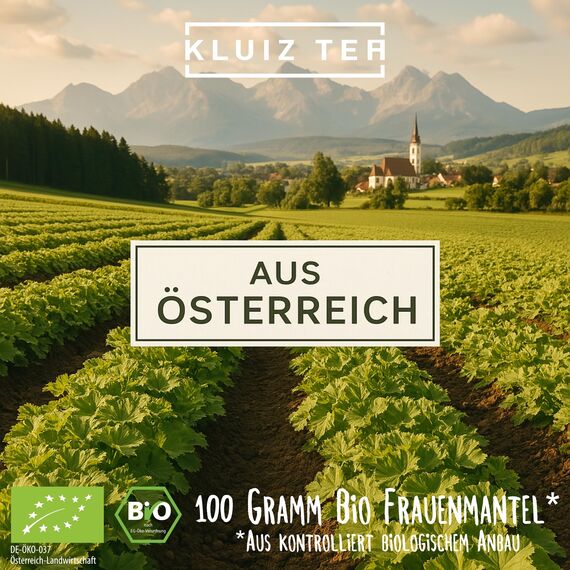 Frauenmanteltee Bio - 100 Gramm I 100% Frauenmantel Tee aus biologischem Anbau aus Österreich I Lady's Mantle Tea by KLUIZ TEA