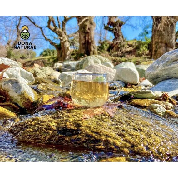 DONA NATURAE | Griechischer BIO BERGTEE vom OLYMP (250g) | 100% Sideritis Scardica | Geschnitten | Kosteneffiziente Verpackung