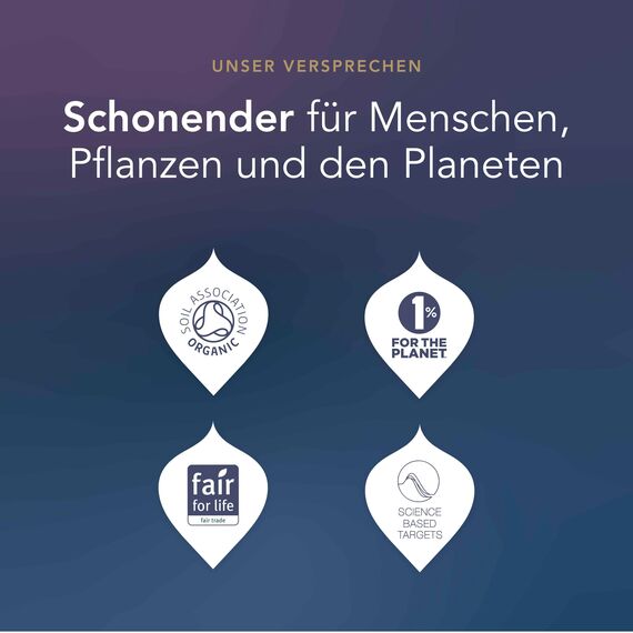 Pukka Tee Geschenkset, Premium Selection Bio Tee Box "Wellness von früh bis spät", Matcha, Kurkuma, Tee Set, Geschenkidee, 6 Varianten,90 Teebeutel