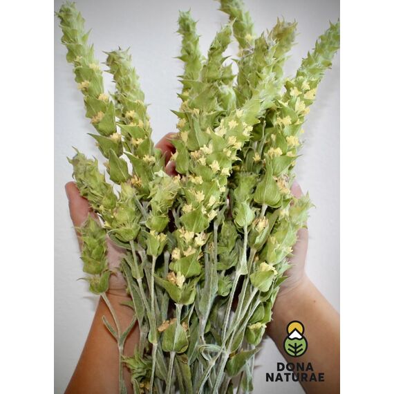 DONA NATURAE | Griechischer BIO BERGTEE vom OLYMP (100g) | 100% Sideritis Scardica | Geschnitten