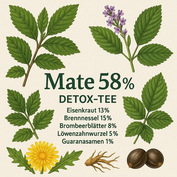 Apsara Detox & Slim Kräutertee – 150g (3 x 50g) Loser Tee – Natürlicher Entschlackungstee mit Mate, Brennnessel & Eisenkraut – Premium Detox Tee für Stoffwechsel & Wohlbefinden