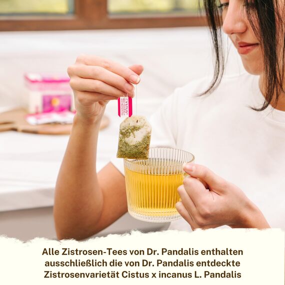 Dr. Pandalis - Zistrosenbeutel - 2x 20 Cistus Incanus Tee in Premium Bio-Qualität - Das Original aus der Apotheke - Nach Althergebrachter Weise