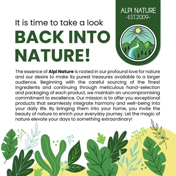 Alpi Nature Nana Minze Tee 500g, Spearmint Tee, marokkanische Minze, Mentha spicata