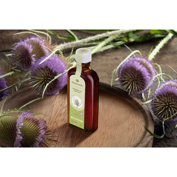 BIO Kardenwurzel Tropfen - Wilde Karde Tinktur | Handgefertigt aus dem Allgäu | Tinktur aus der Wurzel der Karde | 100% BIO + vegan | Karden Tinktur im Ansatz 1:1 nach Wolf Dieter Storl – (100ml)