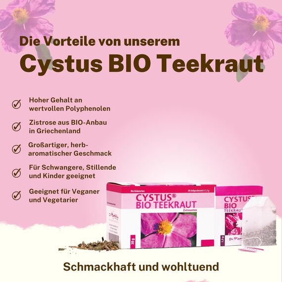 Dr. Pandalis - Zistrosenbeutel - 2x 20 Cistus Incanus Tee in Premium Bio-Qualität - Das Original aus der Apotheke - Nach Althergebrachter Weise
