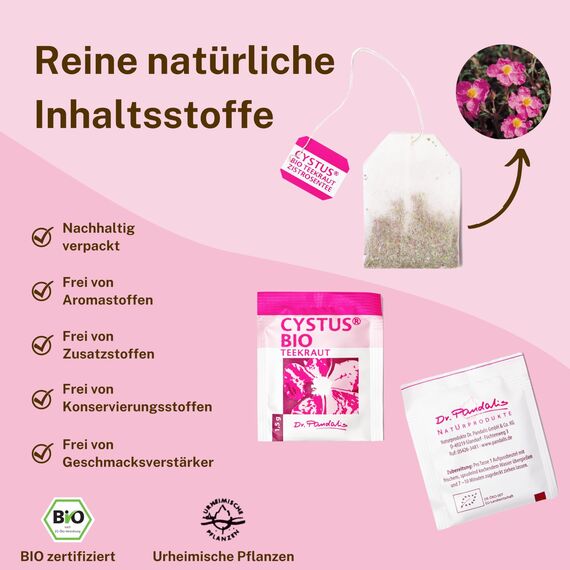 Dr. Pandalis - Zistrosentee - 1x 20 Cistus Tee Aufgussbeutel - Cistus Incanus Tee in Premium BIO-Qualität - Cystus Bio Tee - Das Original aus der Apotheke - Cystrosentee nach althergebrachter Weise