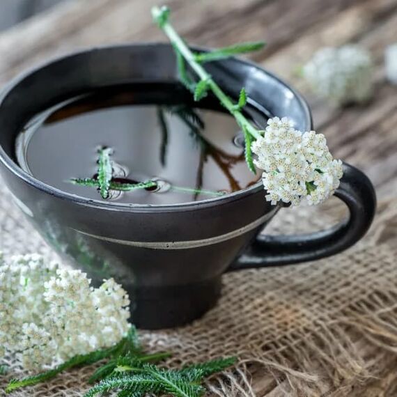 500 g Schafgarbenkraut geschnitten Schafgarbenkrauttee Schafgarbe Kräutertee natürlich vom-Achterhof