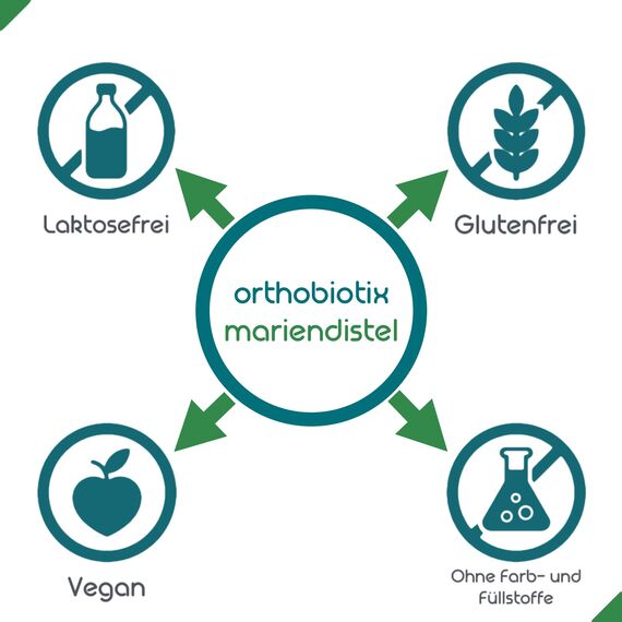 orthobiotix Mariendistel - mit Cholin, Artischocken- und Löwenzahnextrakt - 120 Kapseln - vegan - Mariendistel Komplex mit Pflanzenextrakten hochdosiert