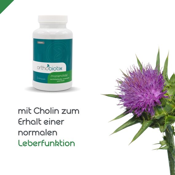 orthobiotix Mariendistel - mit Cholin, Artischocken- und Löwenzahnextrakt - 120 Kapseln - vegan - Mariendistel Komplex mit Pflanzenextrakten hochdosiert