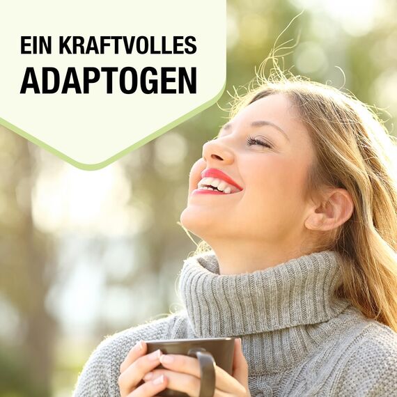 Liposomales Rhodiola Rosea 950 mg – 9-in-1 Tropfen mit Pflanzenextrakten – Hochdosierte Rosenwurz-Tinktur, 60 ml, Vegan