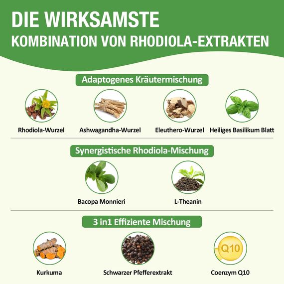 Liposomales Rhodiola Rosea 950 mg – 9-in-1 Tropfen mit Pflanzenextrakten – Hochdosierte Rosenwurz-Tinktur, 60 ml, Vegan