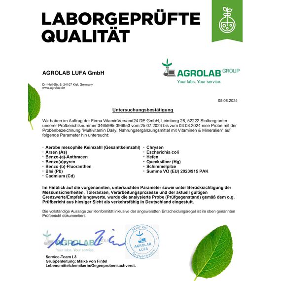 vit4ever Multivitamin Daily - 450 Tabletten mit Bioaktiv-Formen - 15 Monate Vorrat - Wertvolle Mineralien & alle A-Z Vitamine - Vegan