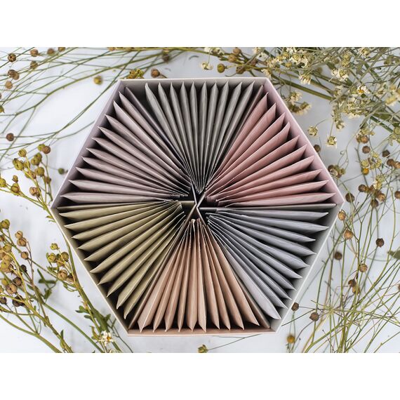 ACORUS | Wellness Tee Set - Natürliche Teeauswahlbox mit 6 Geschmacksrichtungen | Tee Geschenkset | Große Teebox mit 60 Kräuter teebeuteln | 6 Funktionstees