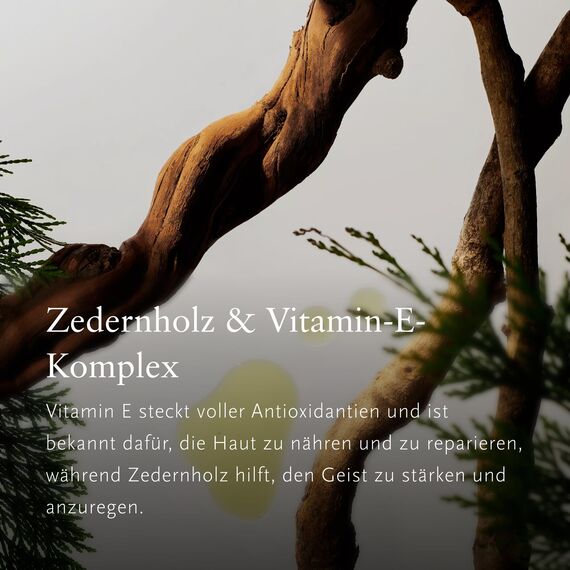 RITUALS Geschenkbox Homme, Medium – Geschenkset für Männer mit Körperpflege-Produkten mit Bambus, Minze und Zedernholz – belebende Eigenschaften
