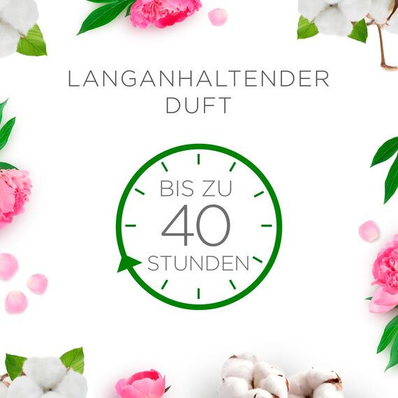 Air Wick Wohlfühl-Duftkerze DUO im Glas – Duft: Cotton Flower Dream – Enthält natürliche ätherische Öle – Duftkerzenset mit je 2 Kerzen