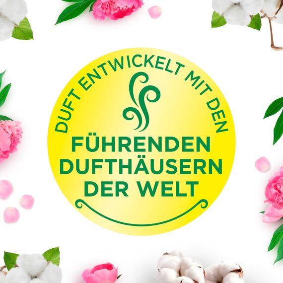 Air Wick Wohlfühl-Duftkerze DUO im Glas – Duft: Cotton Flower Dream – Enthält natürliche ätherische Öle – Duftkerzenset mit je 2 Kerzen