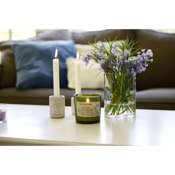 Müller Kerzen PRO NATURE Stearin Stabkerzen - 80er Pack - 2,2 x 20 cm - Natürliches Wachs Tafelkerzen - Ohne Palmöl und Paraffin Kronenkerzen - Brenndauer 6 Stunden - Unparfümierte