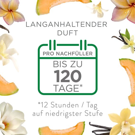 Air Wick Duftölflakon Nachfüller Sommervergnügen – Blumig-frischer Raumduft – 6er Duftöl Set – Plastikfreie Verpackung