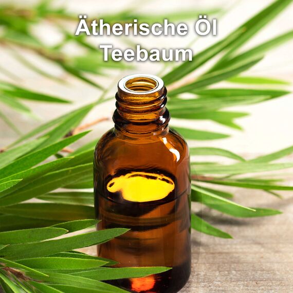 Teebaumöl BIO | Ätherisches Öl 100% Naturrein + Kaltgepresst | Teebaum-Öl gegen Pickel Akne | Zur Hautpflege für reine Haut Gesicht | Essential Tea Tree Oil gegen Nagelpilz Warzen Aromatherapie