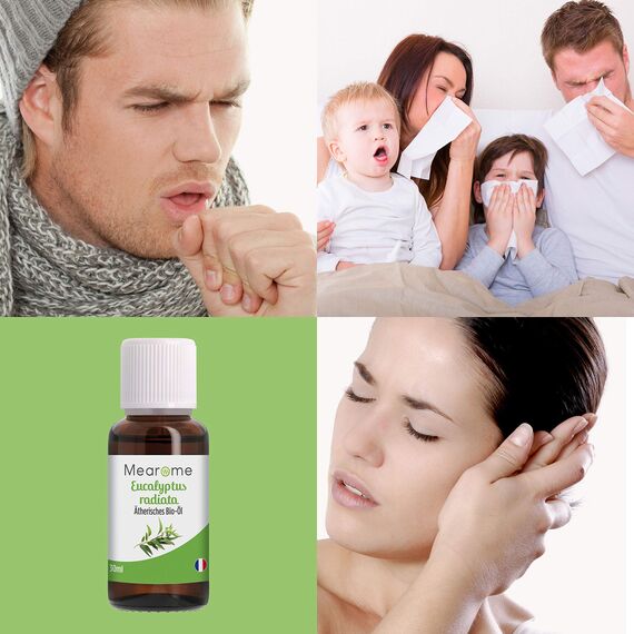 Eukalyptusöl BIO⎟30 ml Ätherisches Öl 100% Naturrein⎟Eucalyptus Radiata Inhalation Diffusion Aromatherapie Aroma Diffuser Naturkosmetik Erfrischend Befreiend verstopfte Nase Vegan⎟Bien-Être Mearome