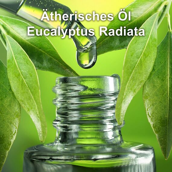 Eukalyptusöl BIO⎟30 ml Ätherisches Öl 100% Naturrein⎟Eucalyptus Radiata Inhalation Diffusion Aromatherapie Aroma Diffuser Naturkosmetik Erfrischend Befreiend verstopfte Nase Vegan⎟Bien-Être Mearome