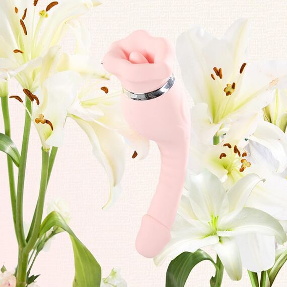 Vibrator Dildo Sex Spielzeug für die Paare, 3 in 1 Vibratorensets mit 10 Vibration 3 Klitoris Sauger 10 Lecken Sex Toys, Sex Spielzeug für Frau G-Punkt Nippel, Anal Dildos Vibration für Frauen Männer