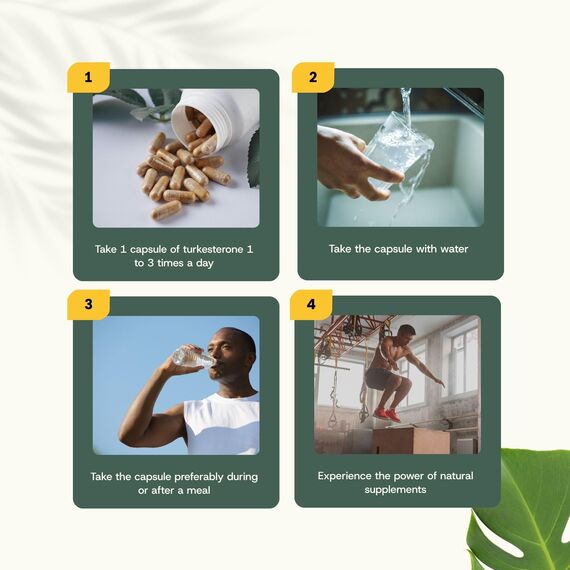 Cupplement Turkesterone Kapseln 500 mg Kombideal 4x 60 Capsules - Ajuga Turkestanica – Testosteron