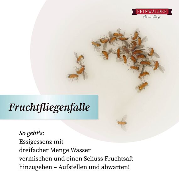Feinwälder® Essigessenz 25% Säure im 5 kg Kanister | weißer Haushaltsessig | natürlicher Essigreiniger und Entkalker I Essig (1 stk.)