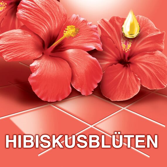 Ajax Allzweckreiniger Hibiskusblütenduft 12 x 1L - Multi-Oberflächen-Reiniger mit ätherischen Ölen