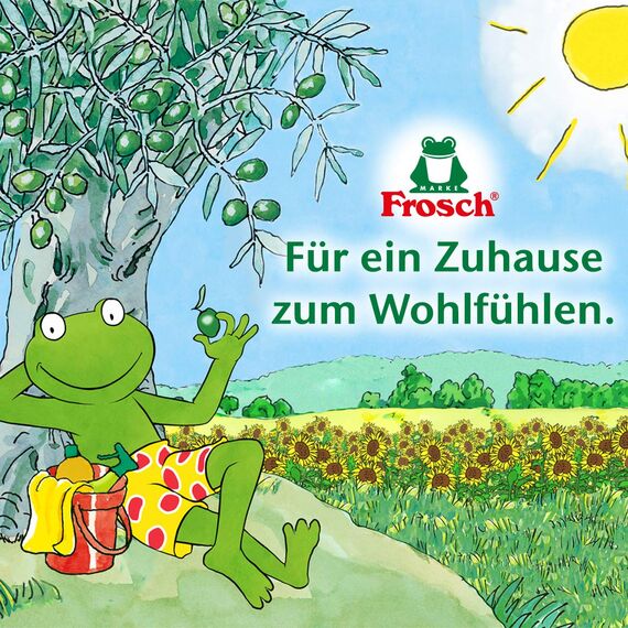 Frosch Essig Reiniger 5L, 3er Pack (3 x 5 l)