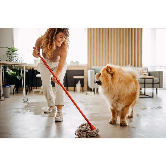 Der General Universal Allzweckreiniger - Ausprobierpaket bestehend aus 2 Artikeln - Bergfrühling & Frische Zitrone - Universalreiniger für hygienische Sauberkeit - je 750 ml