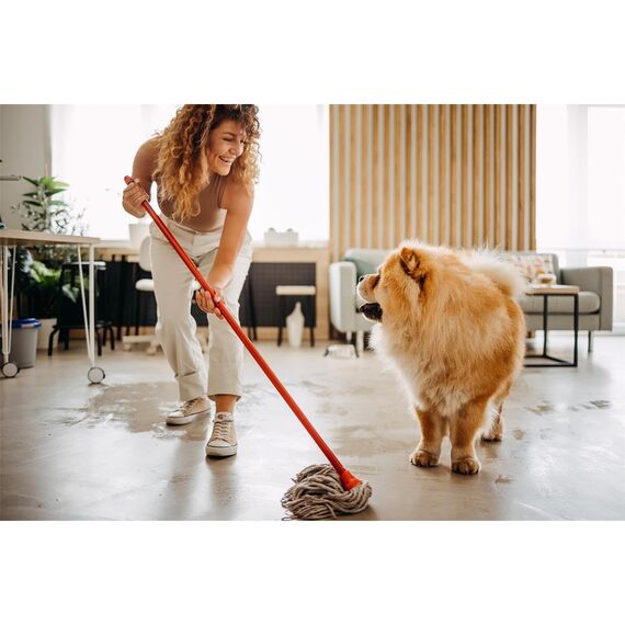 3x Frosch Orangen Universal Reiniger 750 ml