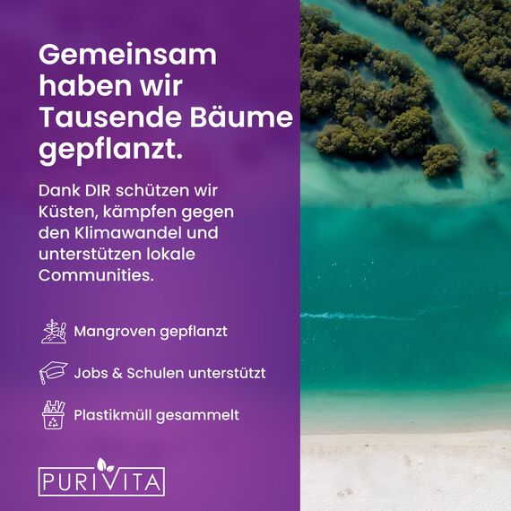 PURIVITA® Allzweckreiniger Konzentrat [500ML] - Universalreiniger mit frischem Blumenduft - Kaltreiniger - Allesreiniger - Multifunktionsreiniger - Kraftreiniger - Bodenreiniger Flüssig - Putzmittel