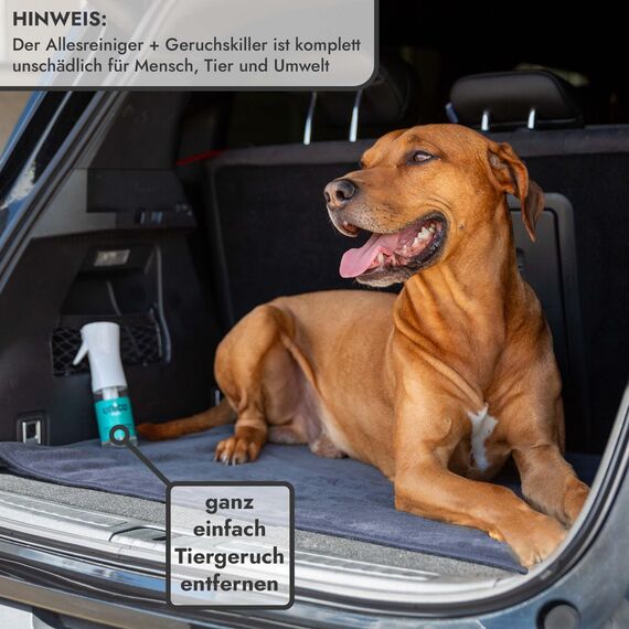 unicopuro® Allesreiniger Starter-Set Zarte Mandarine – 500 ml Konzentrat = 5 L – inkl. 500 ml & 100 ml Sprühflaschen + Soft-Touch Microfasertuch – biologisch abbaubar, Geruchskiller, in 7 Düften