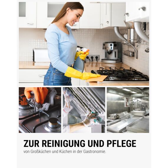 Lorito Fettlöser Küche & Gastronomie 1L mit Sprühaufsatz - Kraftvoller Küchenreiniger gegen starke Verschmutzungen an Dunstabzugshaube, Grill, Backofen & Fliesen