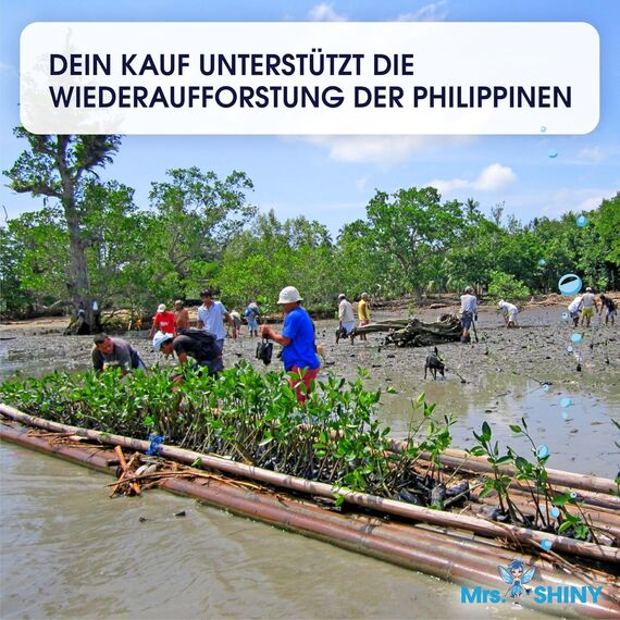 Mrs. SHINY - Wischroboter Reinigungsmittel mit Frischeduft - streifenfreie Sauberkeit & schnelles Trocknen - Bodenreiniger Wischroboter - Kompatibel mit allen Saugwischern - 750ml (Zitrone)