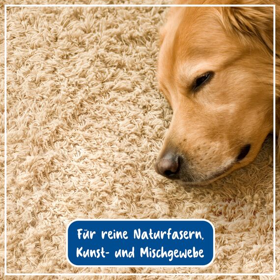 Poliboy - Polster Teppich Reiniger - sanfte Fleckentfernung - Reiniger für Polster und Teppiche - Bodenreinigung - 5er Pack - 5x500ml (2,5 Liter) - Made in Germany