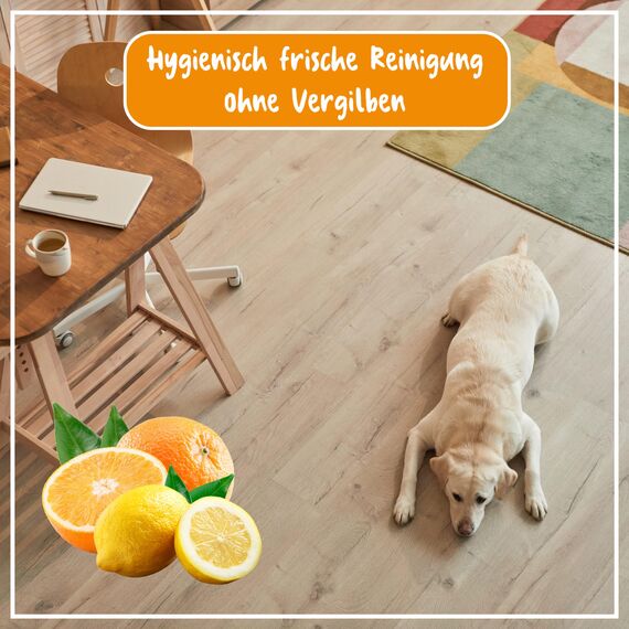 POLIBOY Vinyl Reiniger - Bodenreiniger für Designbelag - Wischpflege als Reinigungskonzentrat mit Jojobaöl - 3x 500 ml - Mit Produktprobe - Made in Germany