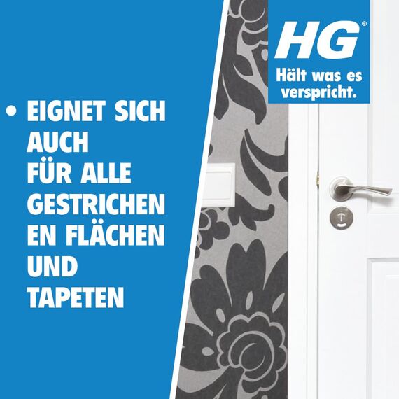 HG Kunststoff Reiniger, leistungsfähiger Reiniger für Kunststoffe und Kunststoff-Fenster zur schnellen, effektiven Reinigung von Kunststoffen aller Art, 500 ml (Packung mit 2)