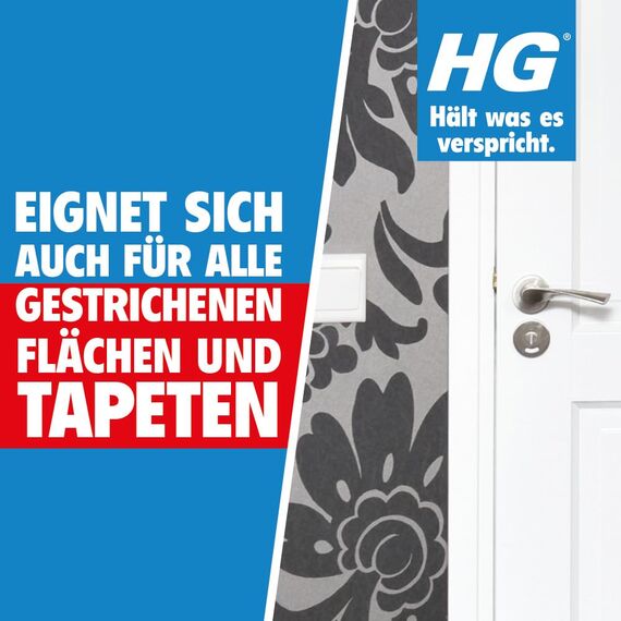 HG Kunststoff Reiniger