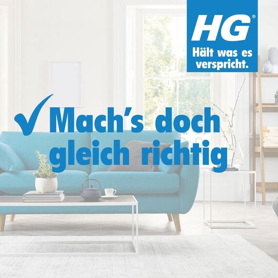 HG Kunststoff Reiniger, leistungsfähiger Reiniger für Kunststoffe und Kunststoff-Fenster zur schnellen, effektiven Reinigung von Kunststoffen aller Art, 500 ml (Packung mit 2)