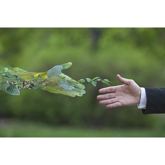 BiOHY Profi Fensterreiniger (10 Liter Kanister) | Glasreiniger Konzentrat | für Fenstersauger geeignet | streifenfreie Reinigung von Glas-, Fenster- & Spiegelflächen | ideal für Haushalt & Auto