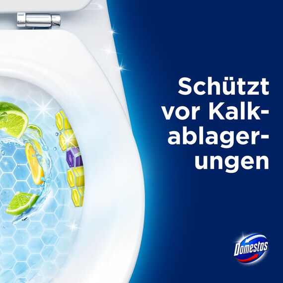 Domestos Power 5 WC Stein Limette WC Reiniger im Vorteilspack volle Power bis zu 900 Spülungen im Trio 3x 50 g