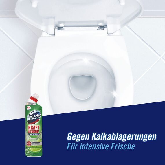 Domestos Kraft & Frische WC-Gel Lime Fresh sorgt für hygienische Sauberkeit im Badezimmer (Packung mit 2)