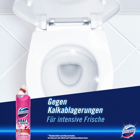 Domestos Kraft & Frische WC Gel Floral Fresh Reinigungsmittel mit frischem Blumen-Duft für hygienische Sauberkeit 750 ml 1 Stück