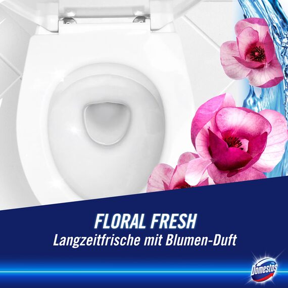 Domestos Kraft & Frische WC Gel Floral Fresh Reinigungsmittel mit frischem Blumen-Duft für hygienische Sauberkeit 750 ml 1 Stück