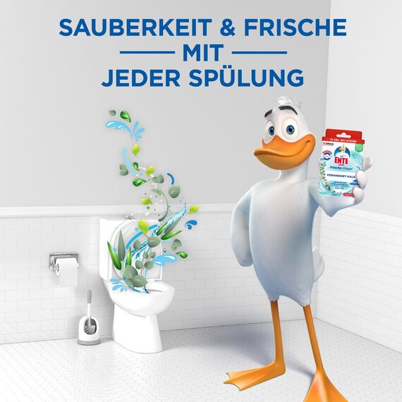 WC-Ente Frische-Siegel Nachfüller, körbchenloser WC-Reiniger, WC Duft, Eukalyptus, 2 Nachfüller (2 Stück) (Packung mit 2)
