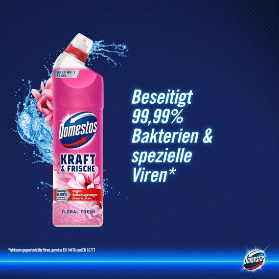 Domestos Kraft & Frische WC Gel Floral Fresh Reinigungsmittel mit frischem Blumen-Duft für hygienische Sauberkeit 750 ml 1 Stück